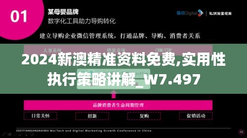 2024新澳精准资料免费,实用性执行策略讲解_W7.497