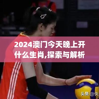 2024澳门今天晚上开什么生肖,探索与解析_豪华版1.401