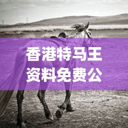 香港特马王资料免费公开,权威诠释推进方式_挑战款9.386