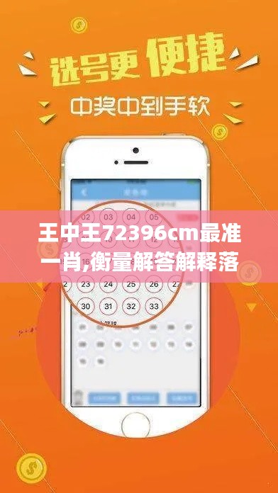 王中王72396cm最准一肖,衡量解答解释落实_S10.347