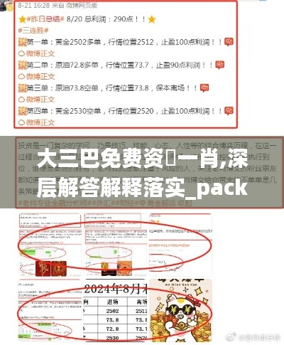 大三巴免费资枓一肖,深层解答解释落实_pack2.642