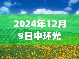 中环光伏迎新曙光，揭秘招聘信息背后的励志故事，开启光伏人生之旅！