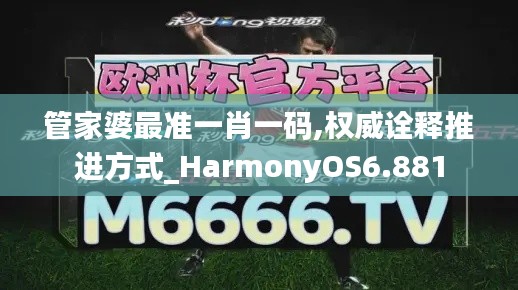 管家婆最准一肖一码,权威诠释推进方式_HarmonyOS6.881