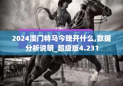 2024澳门特马今晚开什么,数据分析说明_超级版4.231