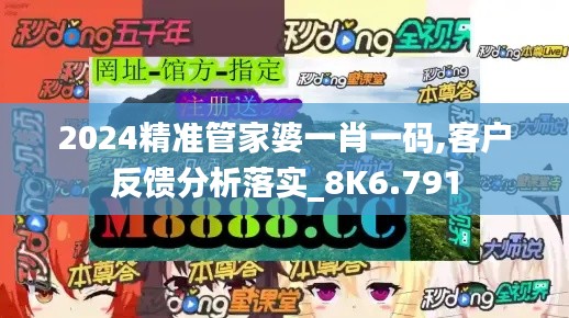 2024精准管家婆一肖一码,客户反馈分析落实_8K6.791