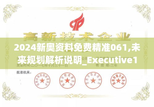 2024新奥资料免费精准061,未来规划解析说明_Executive13.830