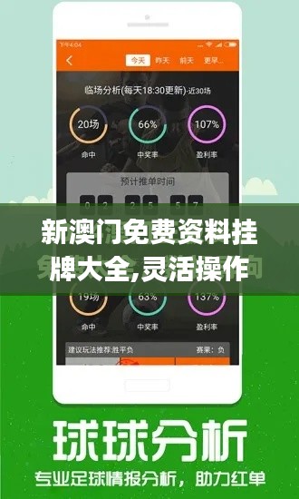 新澳门免费资料挂牌大全,灵活操作方案设计_网红版2.587