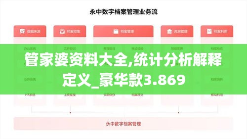 管家婆资料大全,统计分析解释定义_豪华款3.869