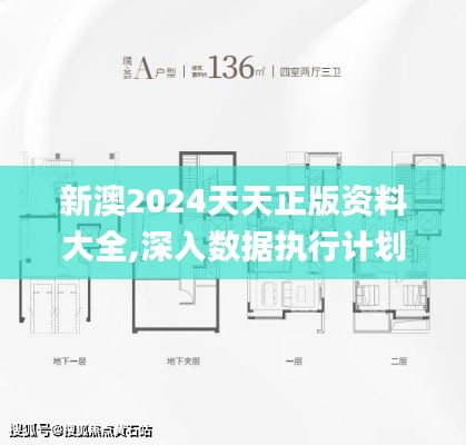 新澳2024天天正版资料大全,深入数据执行计划_尊贵款4.870