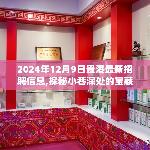 2024年12月9日贵港最新招聘信息,探秘小巷深处的宝藏小店，贵港最新招聘信息速递，2024年12月9日