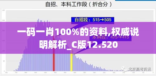 一码一肖100%的资料,权威说明解析_C版12.520