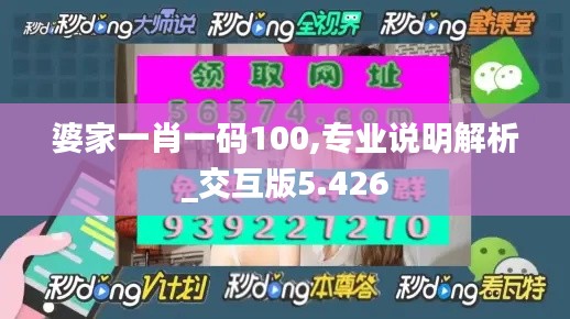 婆家一肖一码100,专业说明解析_交互版5.426