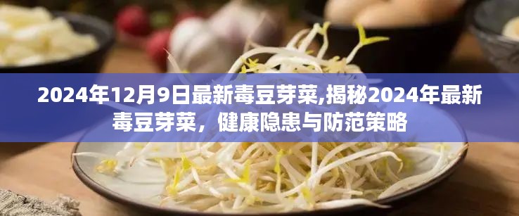 揭秘2024年毒豆芽菜，健康隐患与防范策略揭秘！