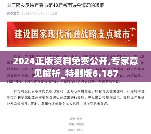 2024正版资料免费公开,专家意见解析_特别版6.187