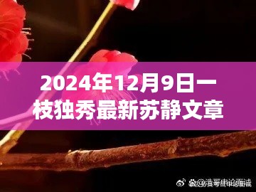 苏静最新文章深度测评与介绍，一枝独秀的2024年展望