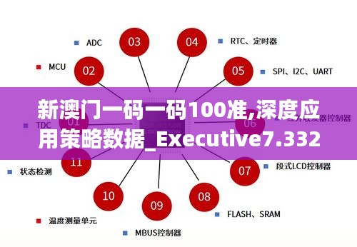 新澳门一码一码100准,深度应用策略数据_Executive7.332