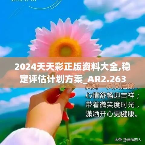 2024天天彩正版资料大全,稳定评估计划方案_AR2.263