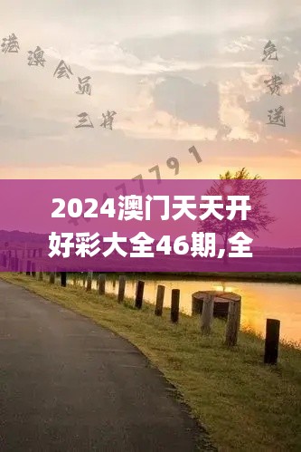 2024澳门天天开好彩大全46期,全面应用分析数据_M版9.214