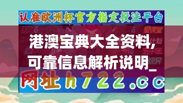 港澳宝典大全资料,可靠信息解析说明_Premium4.648