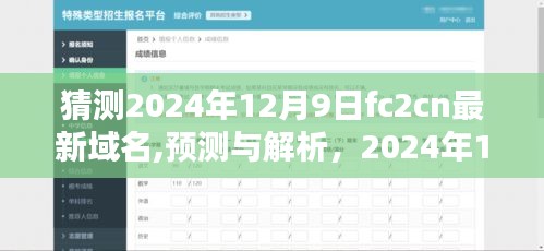 关于FC2CN新域名的预测与解析，全面介绍与体验，揭秘未来域名趋势