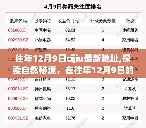 往年12月9日探索自然秘境，新起点上的心灵宁静之旅