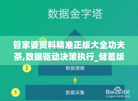 管家婆资料精准正版大全功夫茶,数据驱动决策执行_储蓄版8.947