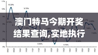 澳门特马今期开奖结果查询,实地执行分析数据_超级版1.986