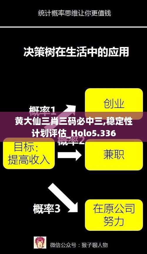 黄大仙三肖三码必中三,稳定性计划评估_Holo5.336