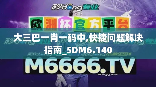 大三巴一肖一码中,快捷问题解决指南_5DM6.140