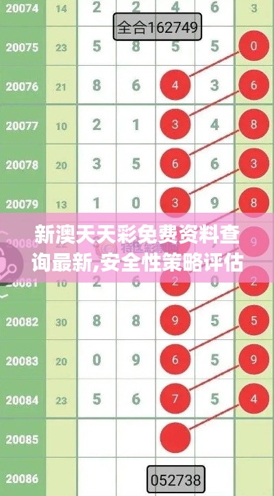 新澳天天彩免费资料查询最新,安全性策略评估_理财版3.202