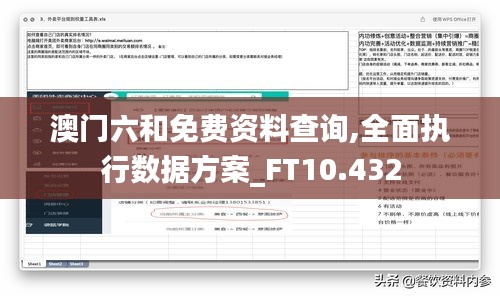 澳门六和免费资料查询,全面执行数据方案_FT10.432