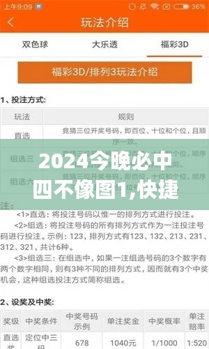 2024今晚必中四不像图1,快捷问题方案设计_bundle10.506