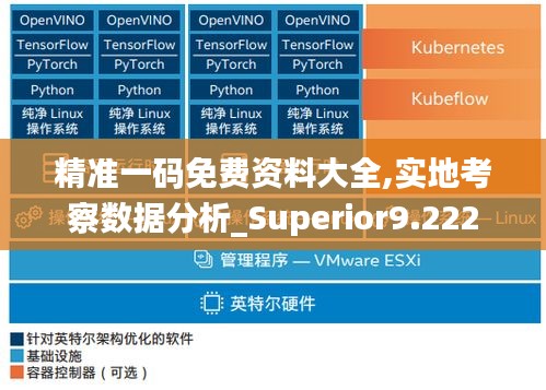 精准一码免费资料大全,实地考察数据分析_Superior9.222