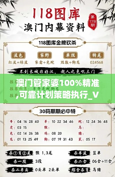 澳门管家婆100%精准,可靠计划策略执行_V23.467