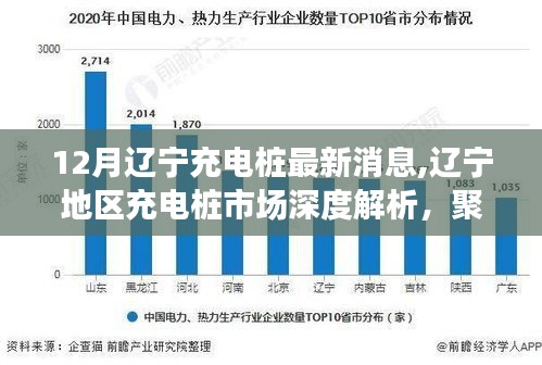 辽宁充电桩市场深度解析，最新动态、用户体验一网打尽