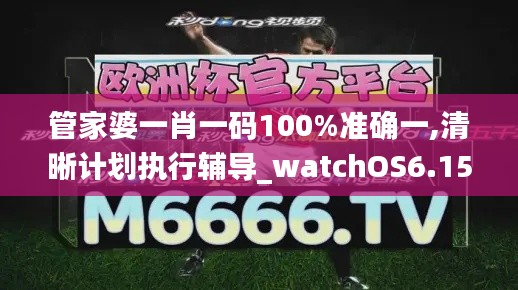 管家婆一肖一码100%准确一,清晰计划执行辅导_watchOS6.153