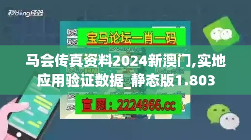 马会传真资料2024新澳门,实地应用验证数据_静态版1.803