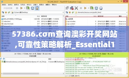 57386.cσm查询澳彩开奖网站,可靠性策略解析_Essential1.369