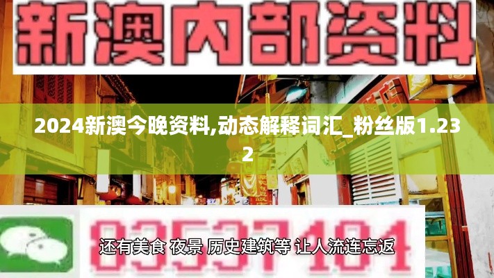 2024新澳今晚资料,动态解释词汇_粉丝版1.232