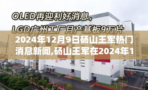 揭秘砀山王军，新闻焦点背后的故事（2024年12月9日最新消息）