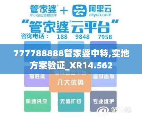 777788888管家婆中特,实地方案验证_XR14.562