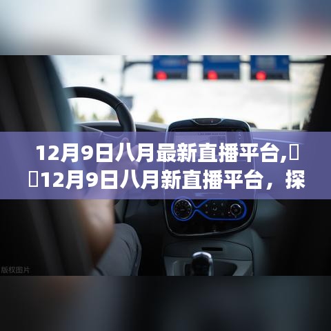 探寻自然美景之旅，八月最新直播平台启程寻找内心平静的力量