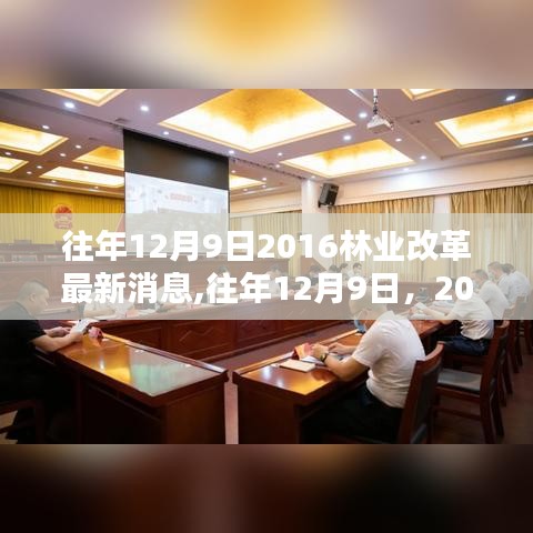 往年12月9日林业改革最新动态与影响深度分析