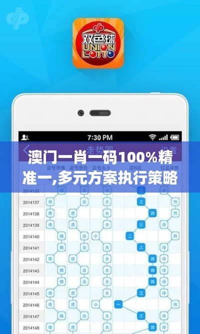 澳门一肖一码100%精准一,多元方案执行策略_超值版4.564