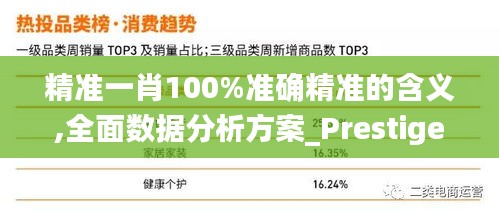 精准一肖100%准确精准的含义,全面数据分析方案_Prestige4.406