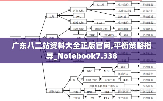 广东八二站资料大全正版官网,平衡策略指导_Notebook7.338