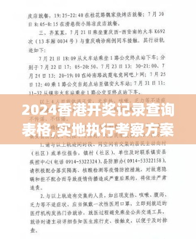 2024香港开奖记录查询表格,实地执行考察方案_微型版2.972