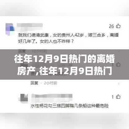 往年12月9日热门离婚房产解析与我的观点，房产争端及其趋势探讨