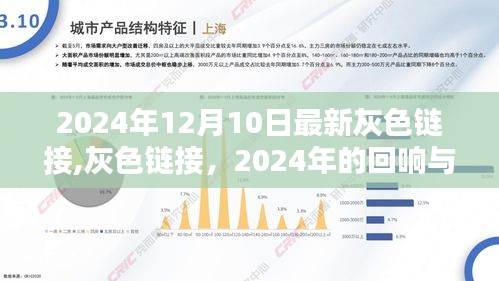 2024年灰色链接回响与影响，最新趋势及未来展望