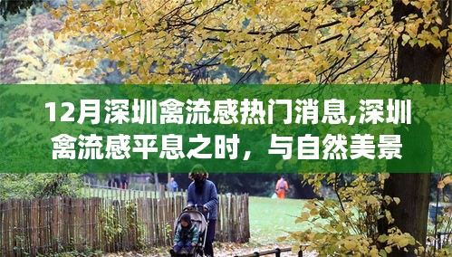 深圳禽流感平息后的自然美景探索之旅